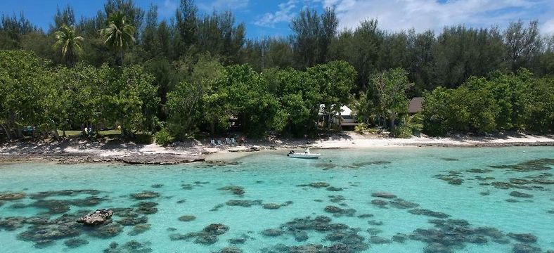 Photos de Dream Island à Moorea - photo 5